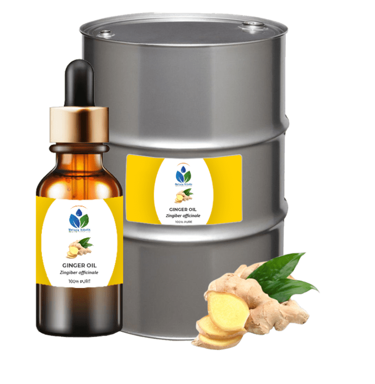 Garlic Oleoresin Natura Vitalis Industries Pvt Ltd.